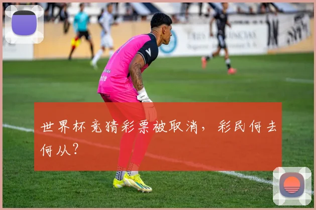 世界杯竞猜彩票被取消，彩民何去何从？