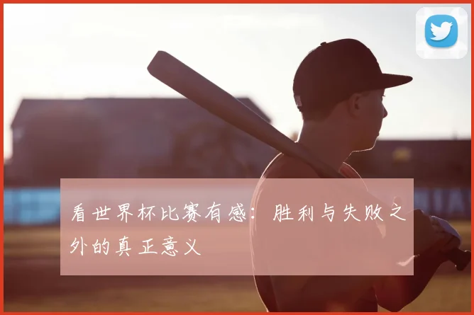 看世界杯比赛有感：胜利与失败之外的真正意义