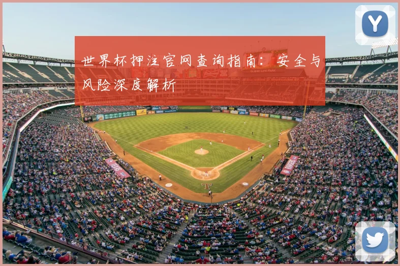 世界杯押注官网查询指南:安全与风险深度解析