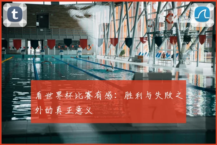看世界杯比赛有感：胜利与失败之外的真正意义