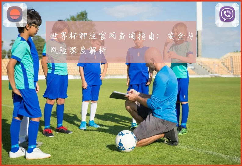 世界杯押注官网查询指南:安全与风险深度解析