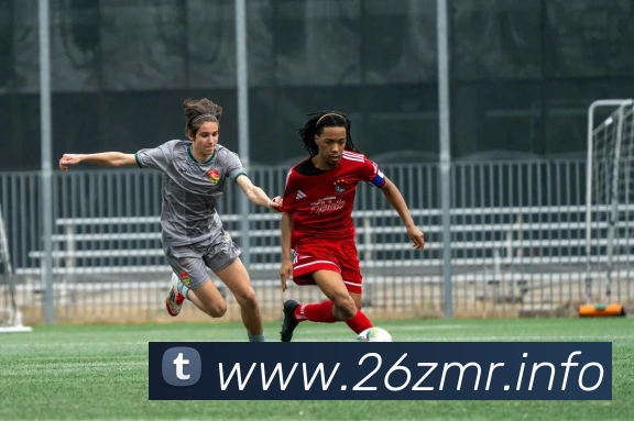 App Interface Preview